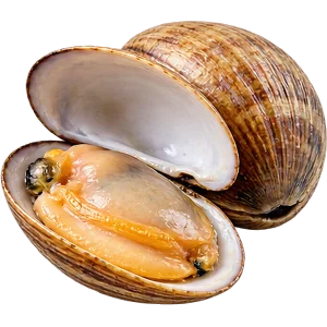 Витамин B12